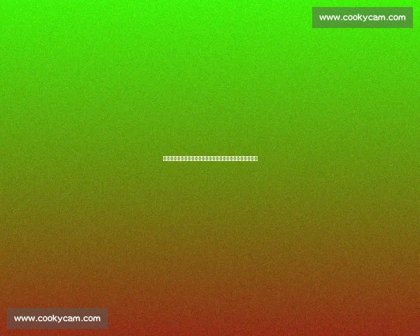 体育资讯官方发布：最新国内外赛事动态全面解读与精彩回顾