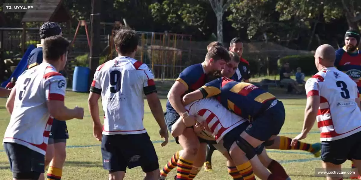 九游电竞 (中国)🥏极限运动的腾空翻转，挑战地心引力，做自己的英雄！